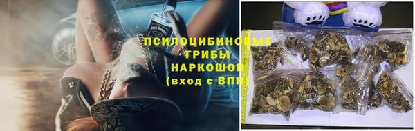 трава Абинск