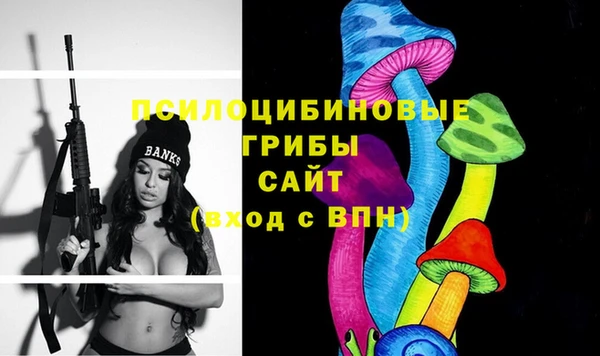 гидропоника Абдулино